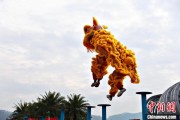正缘测试（文化中国行）壮乡狮舞闯南洋：脚踏“云桩” 饮誉海内外