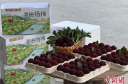 正缘测试高速赋能产业升级：一条“杨梅路”的致富密码